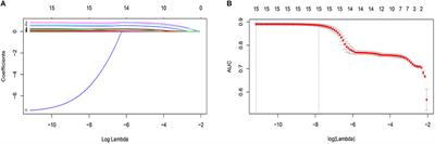 Development and Validation of a Predictive Model for Coronary Artery Disease Using Machine Learning